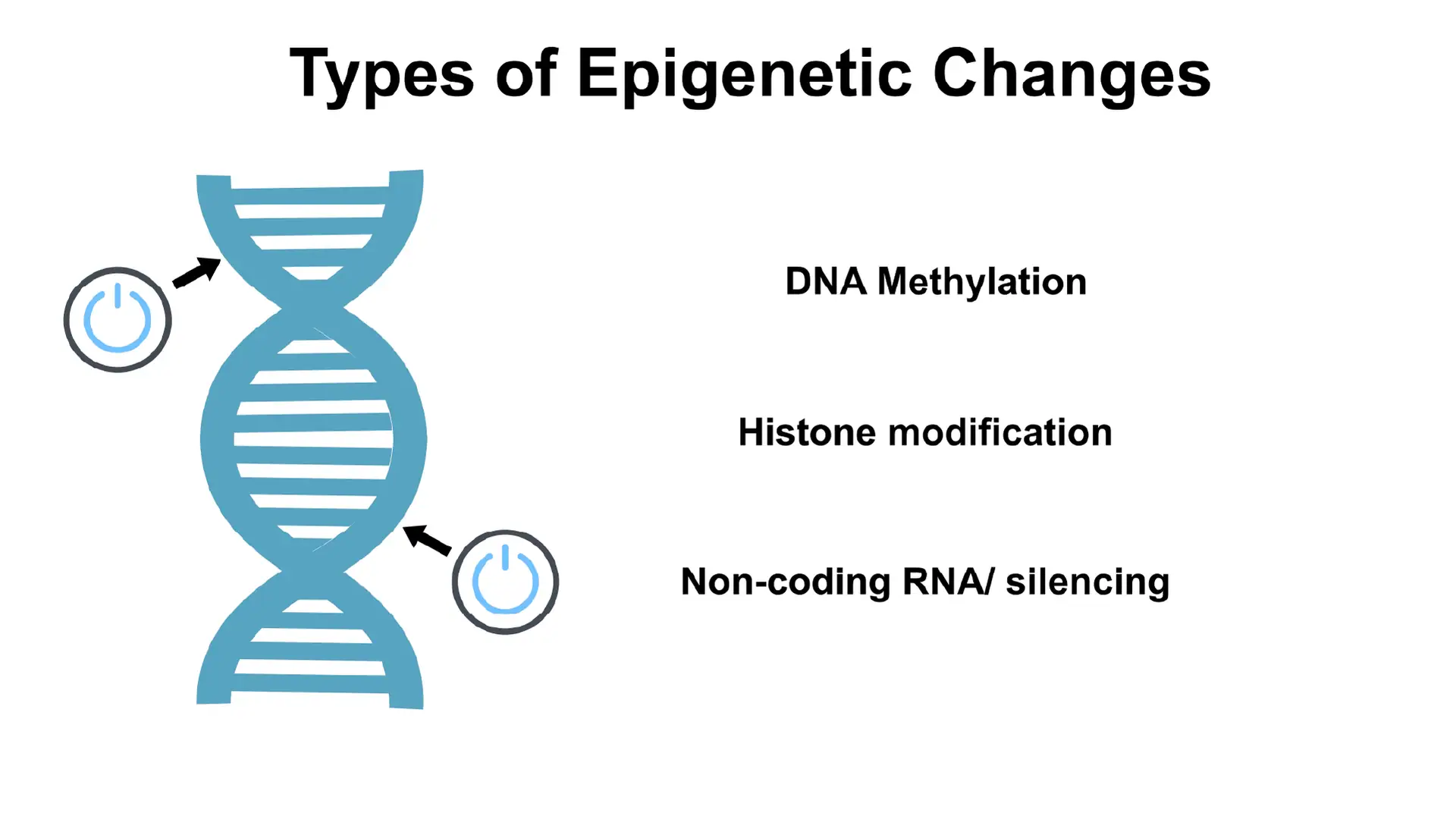 EPIGENETICS – The end that was really just the beginning