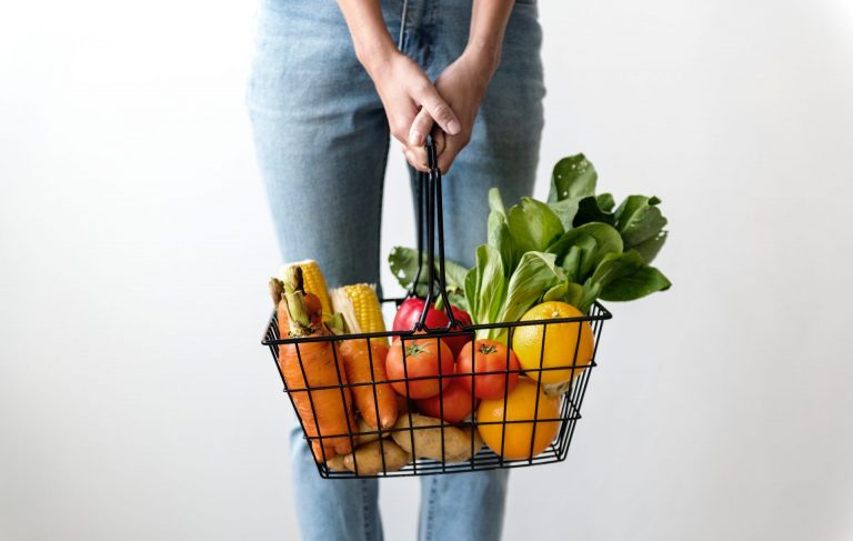 The VEGAN OPTION