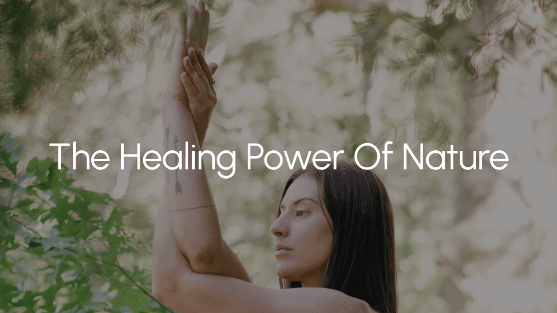 The Healing Power Of Nature