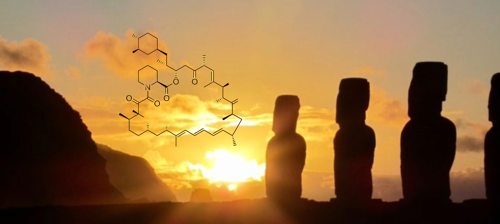 The famous statues of Easter Island where Rapamycin was discovered
