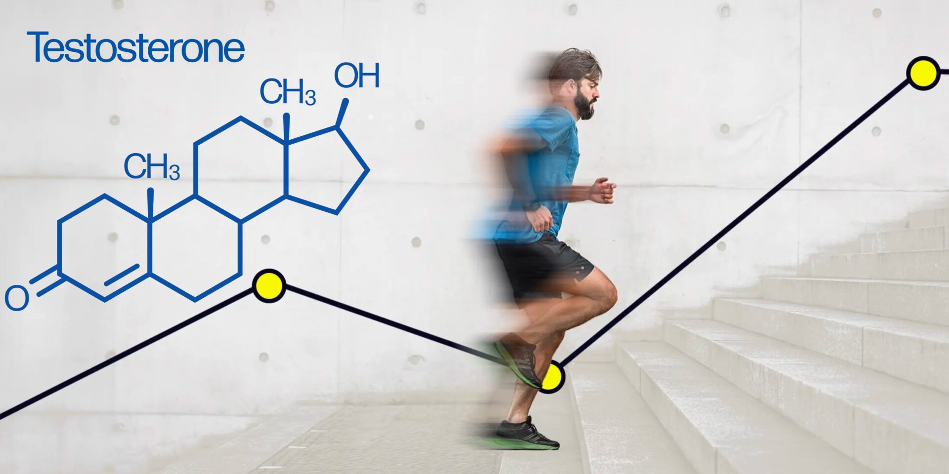 A few tips on testosterone