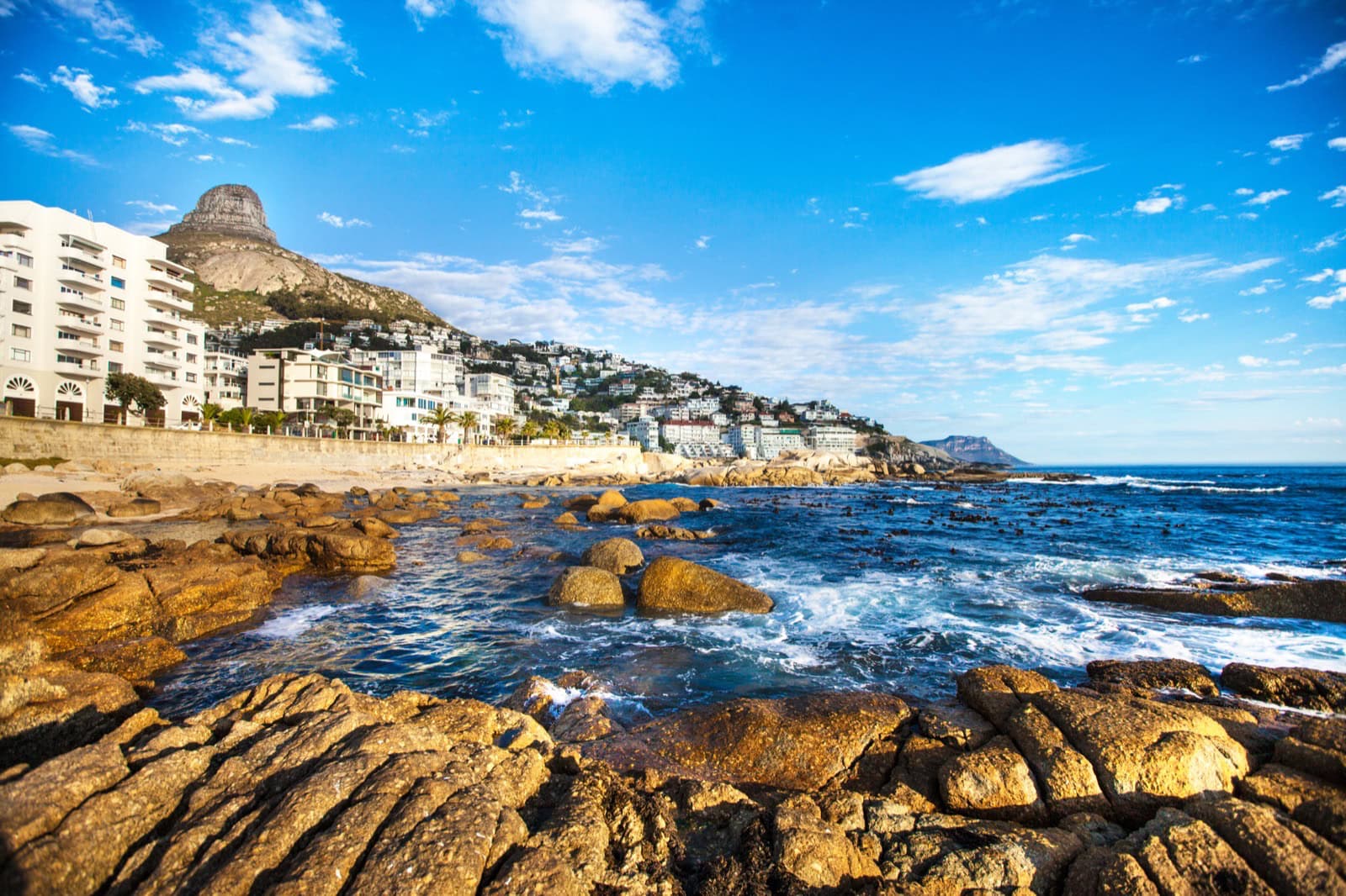 The Sea Point shoreline below Lion's Head in Cape Town, where the Institute of Healthy Aging is based